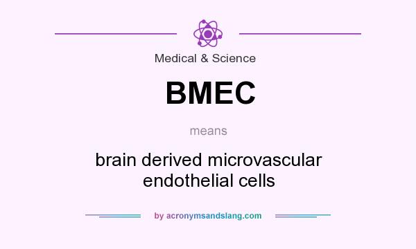 What does BMEC mean? It stands for brain derived microvascular endothelial cells