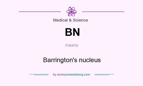What does BN mean? It stands for Barrington`s nucleus