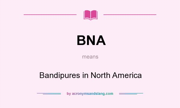 What does BNA mean? It stands for Bandipures in North America