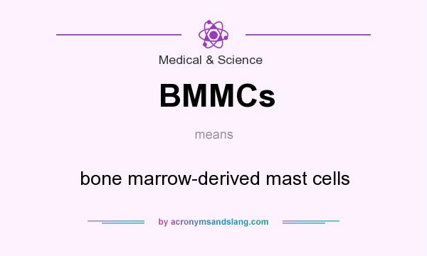 What does BMMCs mean? It stands for bone marrow-derived mast cells