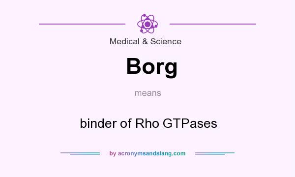 What does Borg mean? It stands for binder of Rho GTPases
