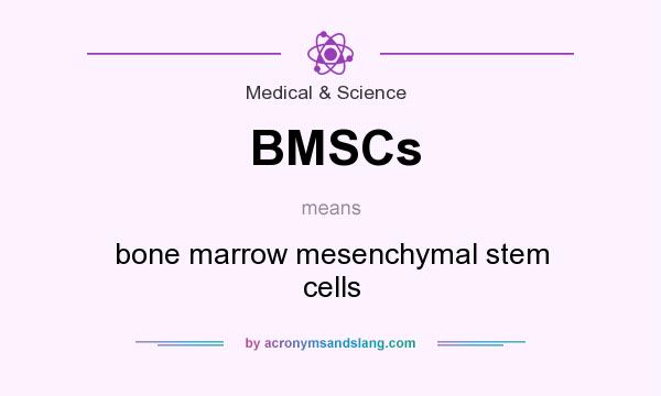 What does BMSCs mean? It stands for bone marrow mesenchymal stem cells