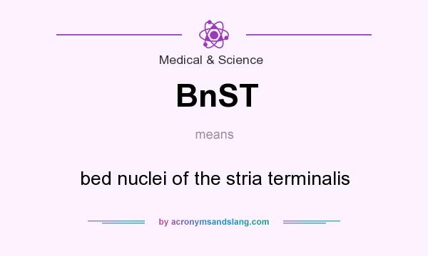 What does BnST mean? It stands for bed nuclei of the stria terminalis