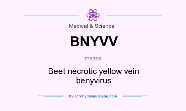 What does BNYVV mean? It stands for Beet necrotic yellow vein benyvirus