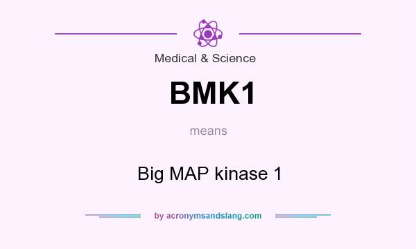What does BMK1 mean? It stands for Big MAP kinase 1