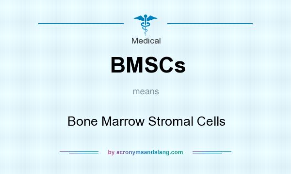 What does BMSCs mean? It stands for Bone Marrow Stromal Cells
