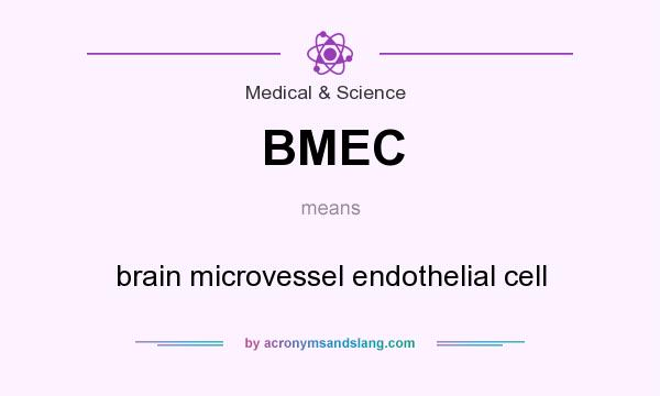 What does BMEC mean? It stands for brain microvessel endothelial cell