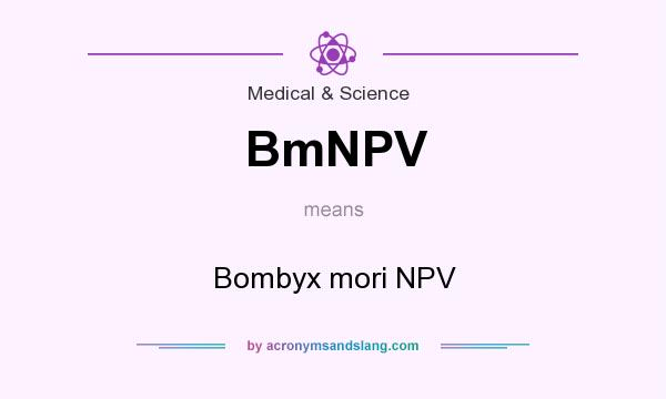 What does BmNPV mean? It stands for Bombyx mori NPV