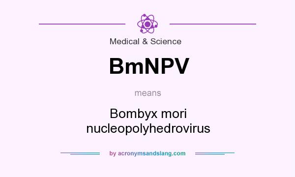 What does BmNPV mean? It stands for Bombyx mori nucleopolyhedrovirus