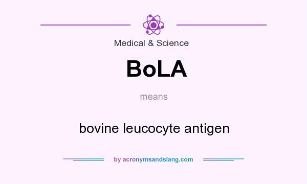 What does BoLA mean? It stands for bovine leucocyte antigen