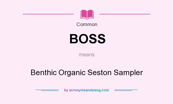 What does BOSS mean? It stands for Benthic Organic Seston Sampler