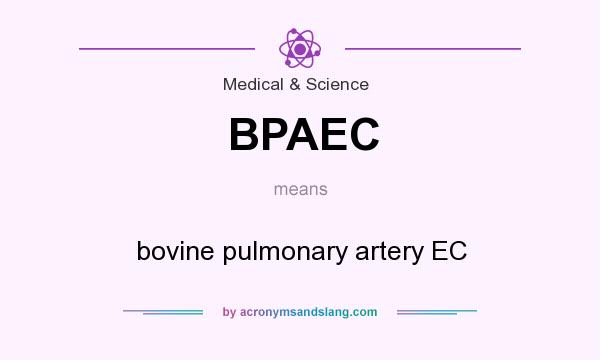 What does BPAEC mean? It stands for bovine pulmonary artery EC