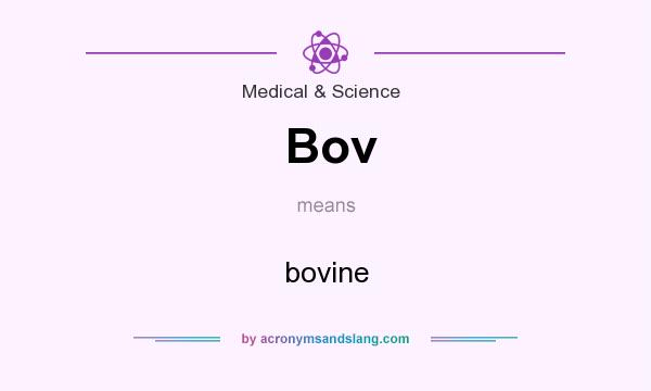 What does Bov mean? It stands for bovine