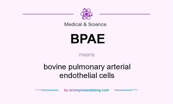What does BPAE mean? It stands for bovine pulmonary arterial endothelial cells