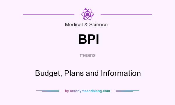 What does BPI mean? It stands for Budget, Plans and Information