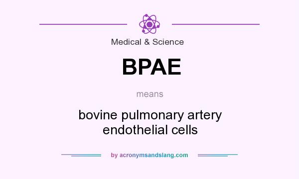 What does BPAE mean? It stands for bovine pulmonary artery endothelial cells