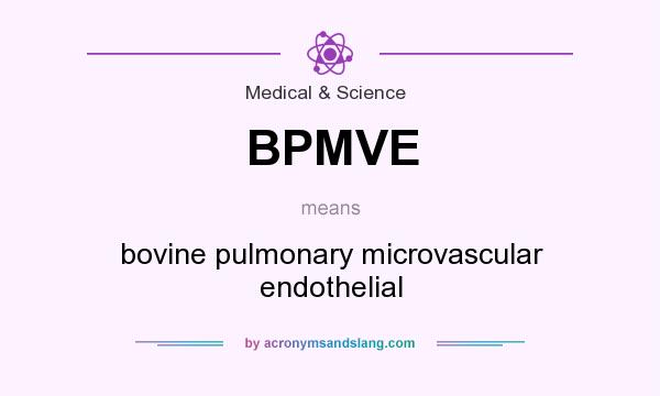 What does BPMVE mean? It stands for bovine pulmonary microvascular endothelial