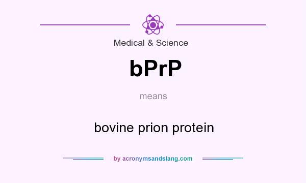 What does bPrP mean? It stands for bovine prion protein
