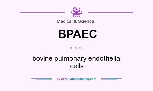 What does BPAEC mean? It stands for bovine pulmonary endothelial cells