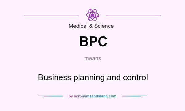 What does BPC mean? It stands for Business planning and control
