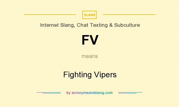 What does FV mean? It stands for Fighting Vipers