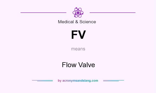 What does FV mean? It stands for Flow Valve