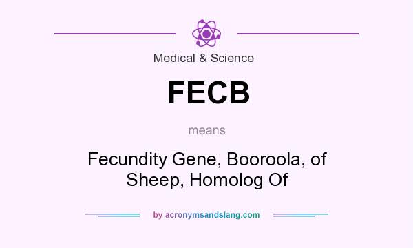 What does FECB mean? It stands for Fecundity Gene, Booroola, of Sheep, Homolog Of