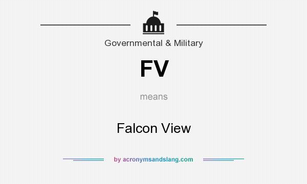 What does FV mean? It stands for Falcon View