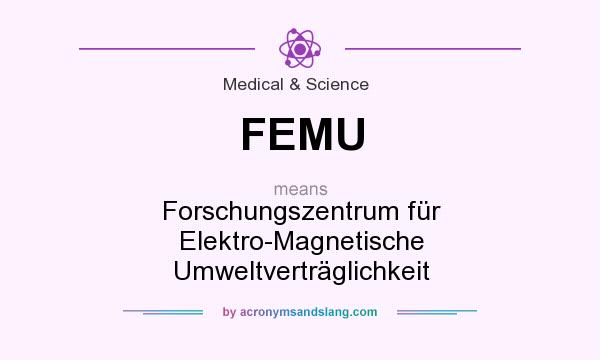 What does FEMU mean? It stands for Forschungszentrum für Elektro-Magnetische Umweltverträglichkeit