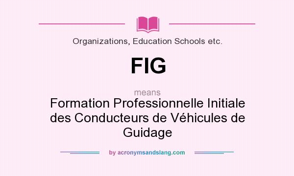 What does FIG mean? It stands for Formation Professionnelle Initiale des Conducteurs de Véhicules de Guidage