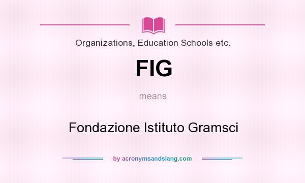 What does FIG mean? It stands for Fondazione Istituto Gramsci