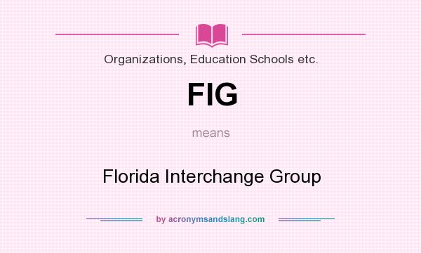 What does FIG mean? It stands for Florida Interchange Group