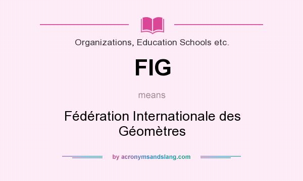 What does FIG mean? It stands for Fédération Internationale des Géomètres