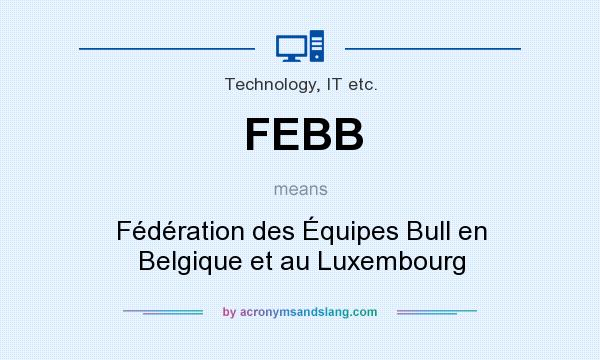 What does FEBB mean? It stands for Fédération des Équipes Bull en Belgique et au Luxembourg
