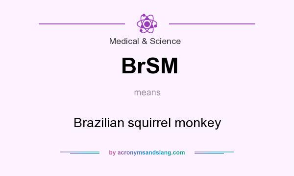 What does BrSM mean? It stands for Brazilian squirrel monkey