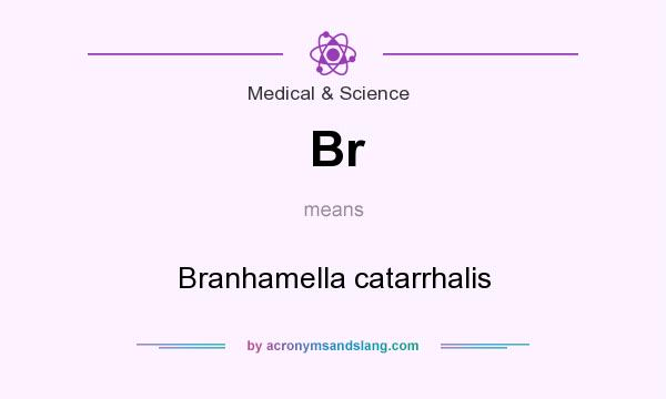 What does Br mean? It stands for Branhamella catarrhalis