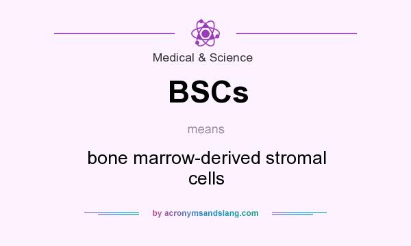 What does BSCs mean? It stands for bone marrow-derived stromal cells
