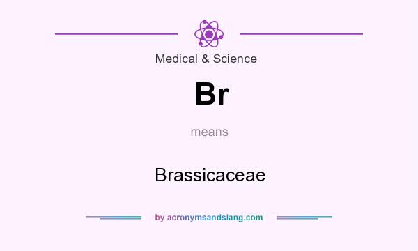 What does Br mean? It stands for Brassicaceae