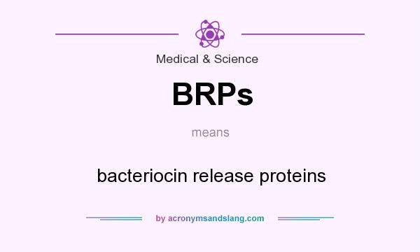 What does BRPs mean? It stands for bacteriocin release proteins