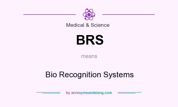 What does BRS mean? It stands for Bio Recognition Systems