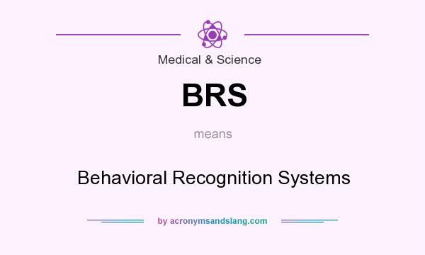 What does BRS mean? It stands for Behavioral Recognition Systems