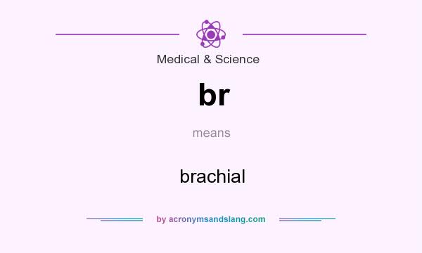 What does br mean? It stands for brachial