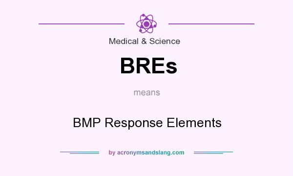 What does BREs mean? It stands for BMP Response Elements