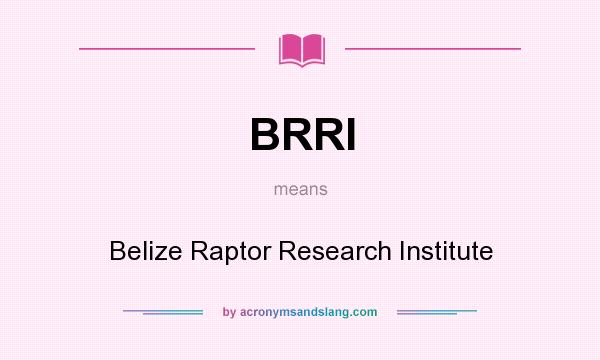 What does BRRI mean? It stands for Belize Raptor Research Institute