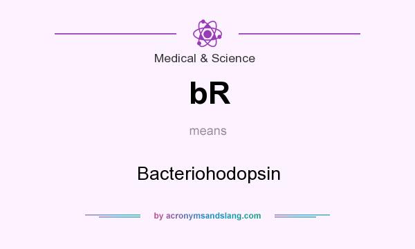 What does bR mean? It stands for Bacteriohodopsin