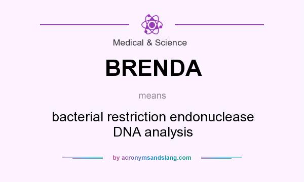 What does BRENDA mean? It stands for bacterial restriction endonuclease DNA analysis
