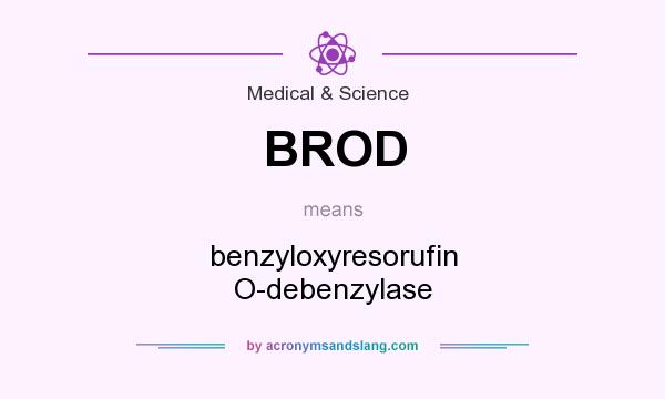 What does BROD mean? It stands for benzyloxyresorufin O-debenzylase