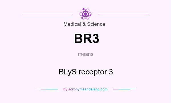 What does BR3 mean? It stands for BLyS receptor 3