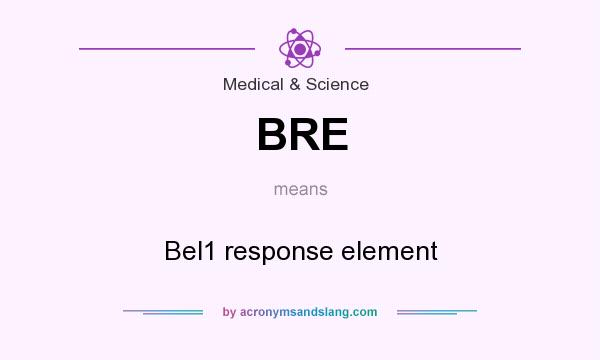 What does BRE mean? It stands for Bel1 response element
