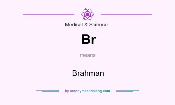 What does Br mean? It stands for Brahman